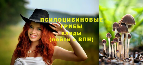 винт Алексин