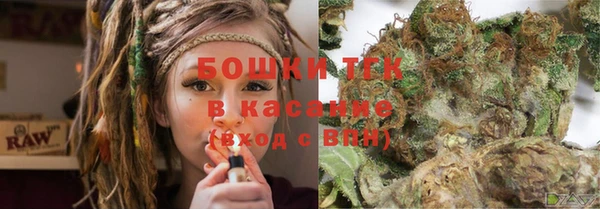 ешки Аркадак