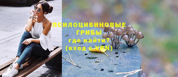 ешки Аркадак