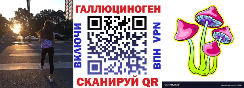 наркотики  Куса  Галлюциногенные грибы Psilocybe 